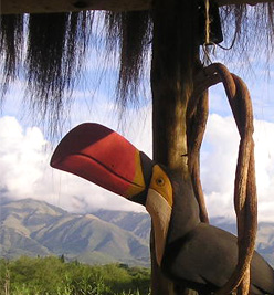 Tucan de decoracion